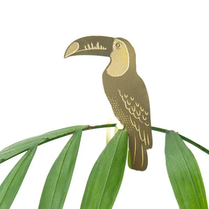 Plant Animal Toucan