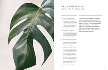 Load image into Gallery viewer, Healing Power of Plants