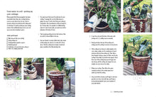 Load image into Gallery viewer, Wild At Home: How to Style and Care For Beautiful Plants