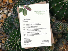 Load image into Gallery viewer, Rubber Plant card