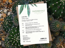 Load image into Gallery viewer, Calathea card