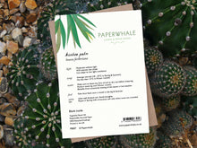 Load image into Gallery viewer, Kentia Palm card