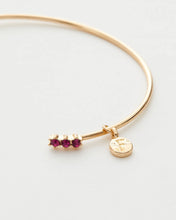 Load image into Gallery viewer, Enamel Hedgehog Bangle