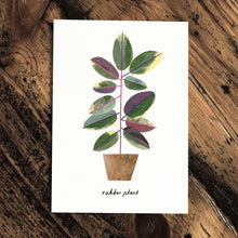 Load image into Gallery viewer, Rubber Plant card