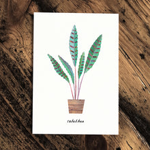 Load image into Gallery viewer, Calathea card