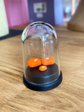 Load image into Gallery viewer, Pet Baked Bean family of 3