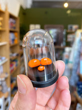 Load image into Gallery viewer, Pet Baked Bean family of 3