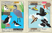 Load image into Gallery viewer, All Sorts of Birds Crinkly Newspaper