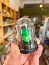 Load image into Gallery viewer, Pet Broccoli