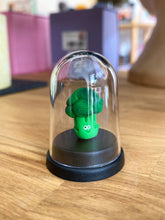 Load image into Gallery viewer, Pet Broccoli