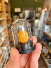 Load image into Gallery viewer, Pet Chicken Nugget