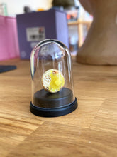 Load image into Gallery viewer, Pet Crumpet