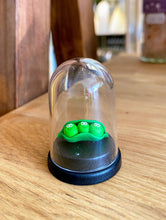 Load image into Gallery viewer, Three Pet Peas in a Pod