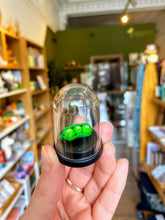 Load image into Gallery viewer, Three Pet Peas in a Pod