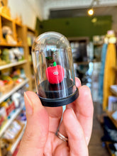 Load image into Gallery viewer, Pet Apple