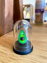 Load image into Gallery viewer, Pet Avocado