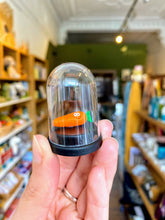 Load image into Gallery viewer, Pet Carrot