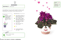 Load image into Gallery viewer, Grow Your Own Pet Plants