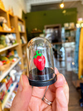 Load image into Gallery viewer, Pet Strawberry