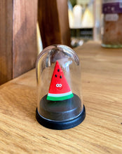 Load image into Gallery viewer, Pet Watermelon