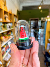 Load image into Gallery viewer, Pet Watermelon