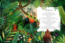 Load image into Gallery viewer, Wild World