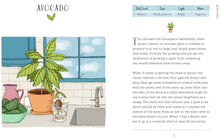 Load image into Gallery viewer, Windowsill Gardener