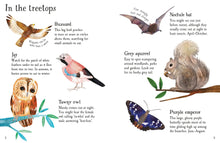 Load image into Gallery viewer, USBORNE MINIS: WOODLAND LIFE TO SPOT