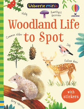 Load image into Gallery viewer, USBORNE MINIS: WOODLAND LIFE TO SPOT