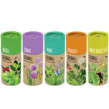 Load image into Gallery viewer, Herb Seedball Tubes - 5 varieties to choose from
