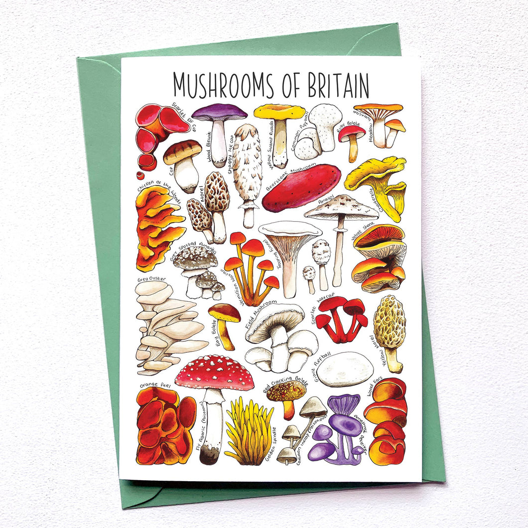 Mushrooms  of Britain Art Blank Greeting Card