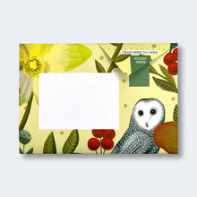 Load image into Gallery viewer, Dusk to Dawn Pigeon letter pack
