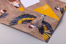 Load image into Gallery viewer, Golden Flight Pigeon, Folding Letter Set – Pack of 6 Letters
