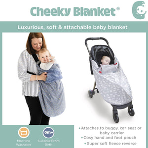 Baby Travel Blanket - Cheeky Animals