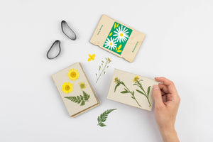 Pocket Flower Press - Daisy