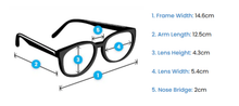 Load image into Gallery viewer, Evan Frost Sunglasses
