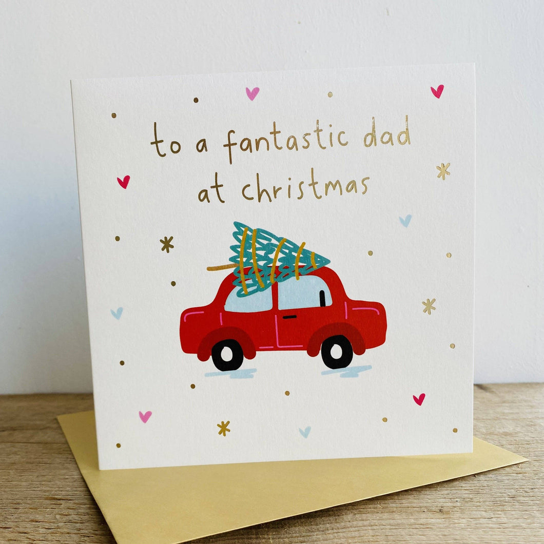 FF03 Fantastic Dad At Christmas