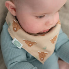 Load image into Gallery viewer, Highland Cow print bib
