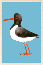 Load image into Gallery viewer, Oystercatcher sustainable wooden postcard
