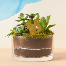Load image into Gallery viewer, Plant Animal Squirrel, plant pot decoration in brass
