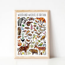 Load image into Gallery viewer, Woodland wildlife Art Blank Greeting Card
