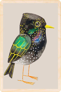 Starling sustainable wooden postcard