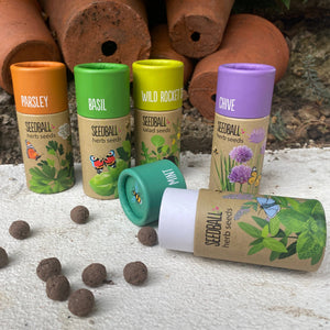 Herb Seedball Tubes - 5 varieties to choose from