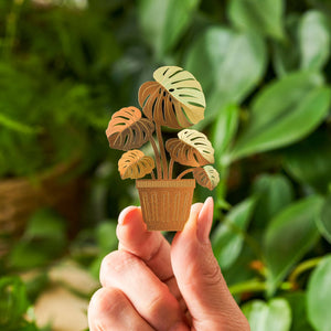 Tiny Plant Monstera, brass metal home decor, letterbox gift