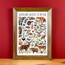 Load image into Gallery viewer, Woodland wildlife Art Blank Greeting Card
