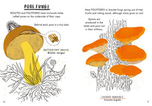 Load image into Gallery viewer, Hello Fungi: A Little Guide to Nature
