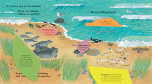 Who's Hiding at the Seaside? (Boardbook)