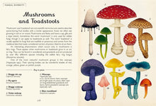 Load image into Gallery viewer, Fungarium (Mini Gift Edition)
