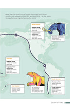 Load image into Gallery viewer, Brilliant Maps in the Wild
