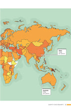 Load image into Gallery viewer, Brilliant Maps in the Wild
